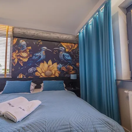 W Cieplicach Bloom *